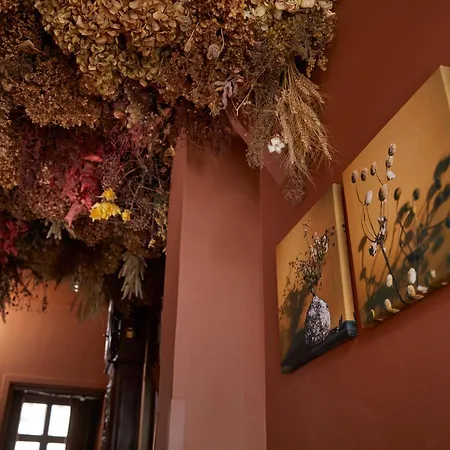 Le Nid Fleuri - Sejour Familial A * Tournai