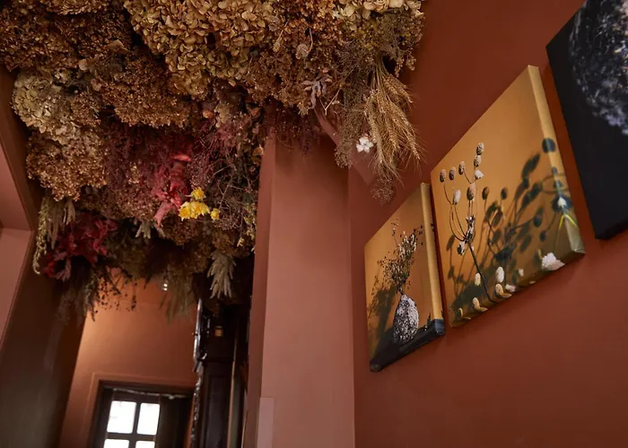 Le Nid Fleuri - Sejour Familial A * Tournai